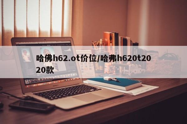 哈佛h62.ot价位/哈弗h620t2020款