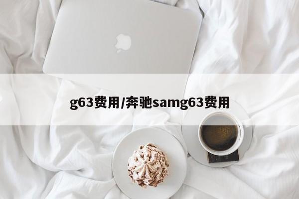 g63费用/奔驰samg63费用