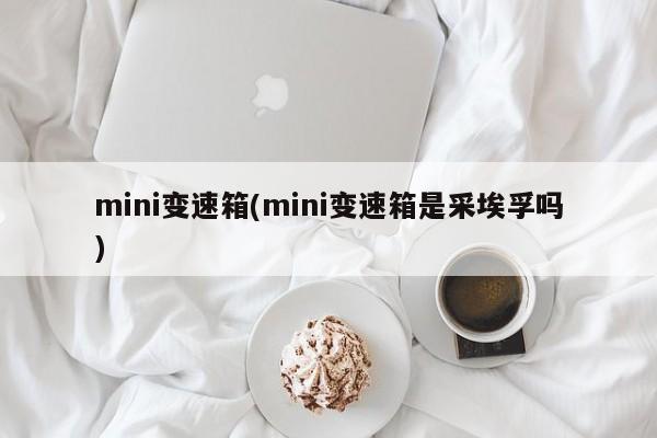 mini变速箱(mini变速箱是采埃孚吗)