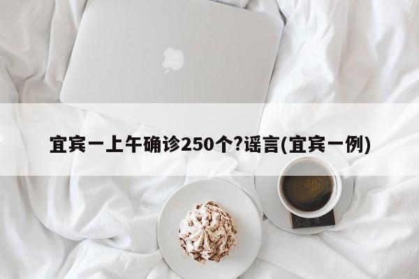 宜宾一上午确诊250个?谣言(宜宾一例)