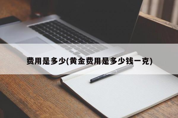 费用是多少(黄金费用是多少钱一克)