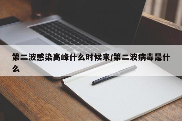 第二波感染高峰什么时候来/第二波病毒是什么