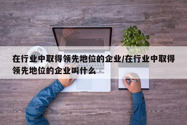 在行业中取得领先地位的企业/在行业中取得领先地位的企业叫什么