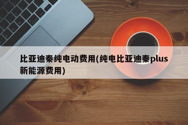比亚迪秦纯电动费用(纯电比亚迪秦plus新能源费用)