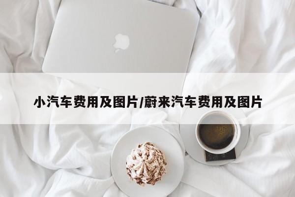 小汽车费用及图片/蔚来汽车费用及图片